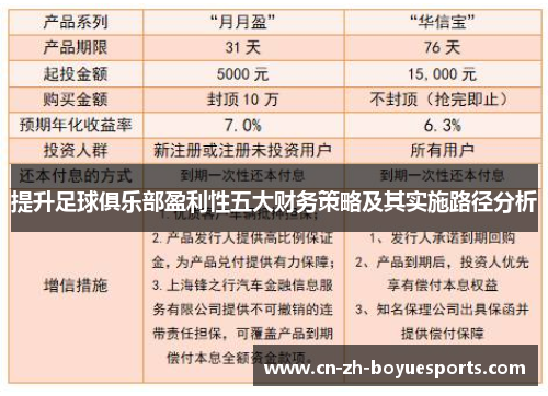 提升足球俱乐部盈利性五大财务策略及其实施路径分析