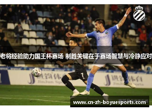 老将经验助力国王杯赛场 制胜关键在于赛场智慧与冷静应对