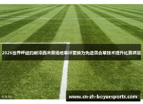 2026世界杯纽约新泽西决赛场地草坪更换为先进混合草技术提升比赛质量 2026世界杯纽约新泽西决赛场地草坪更换为先进混合草技术提升比赛质量